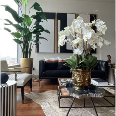 Orchid Floral Arrangement in Vase