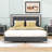 Adeliya Queen Size Upholstered Platform Bed with LED Lights-1164790303