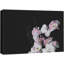 Flower Blossom "High Contrast Pink White Carnation" sur toile-99542710
