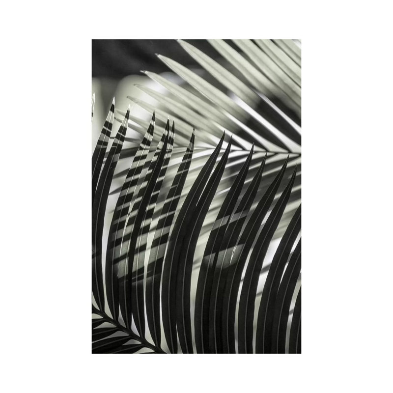 Palmleaves Shades Green by Monika Strigel - Wrapped Canvas Print, 20.32 cm H x 30.48 cm W