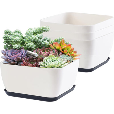 6" Shallow Succulent Pots With Drainage