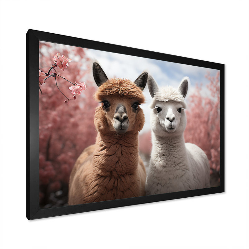Alpagas Graceful Alpacas II - reproduction sur toile, H 24 po x l 32 po x P 1 po, Cadre photo noir