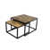 Quanah 2 Piece Coffee Table Set