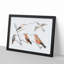 Five Hummingbirds by Johan Teyler - Picture Frame Art Print-55609335-55609338