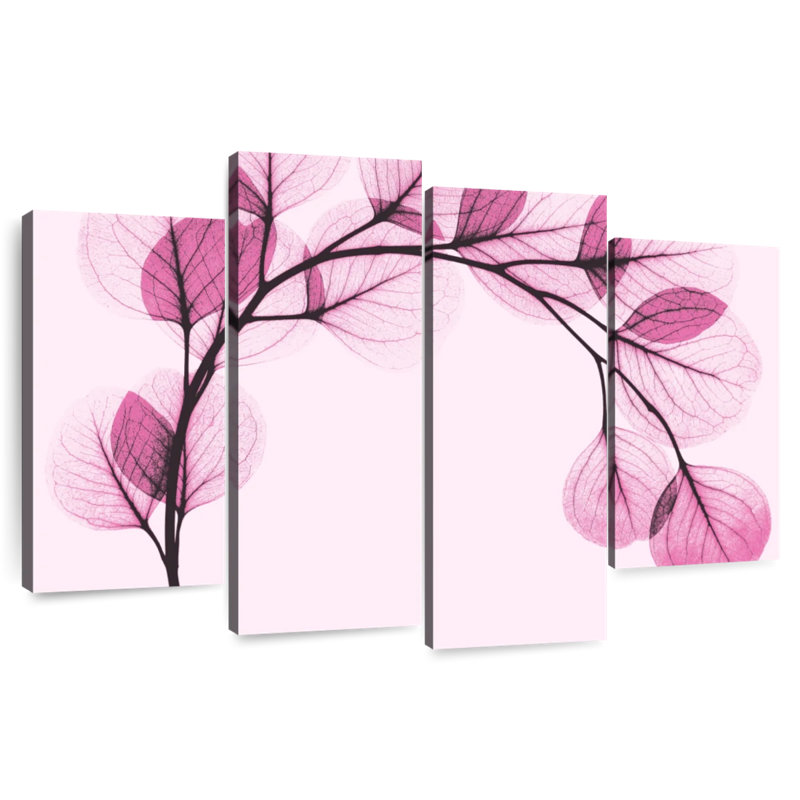 Eucalyptus rose Harnek I, H 14 po x l 24 po