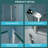 36"W X 72"H Bi Shower Door With Tempered Glass, - Coating, Space Efficient Design Hinge,