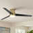 Gold with Black/Gray Wood Blades
