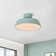 Rolfes 1-Light Round LED Flush Mount Ceiling Light