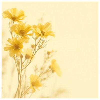 Yellow Cosmos Flowers Double Sided Throw Pillows