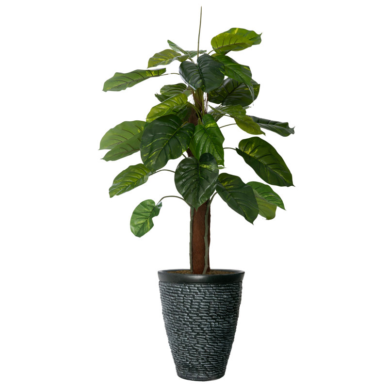 Plante artificielle Scindapsus aureus 68 po Panama