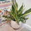 Photos des clients 1 de 1