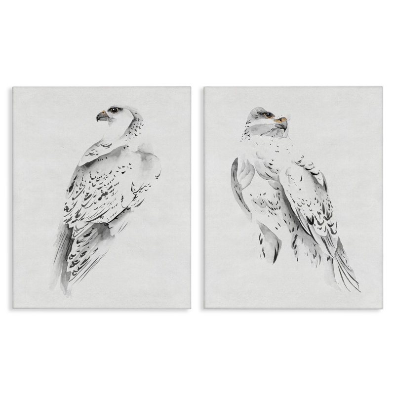 White Hawk Winter Birds Soft Speckled Feathers, H 20 po x l 16 po, Estampe numérique encadrée blanc bord de mer