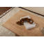 Table basse-13560314