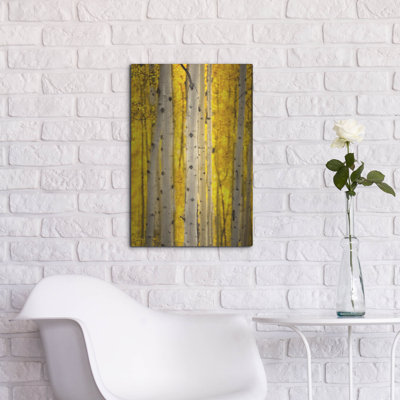 "Aspen Trees" par Jonathan Ross