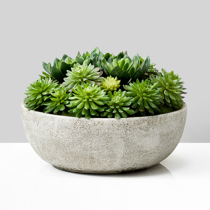 Faux mélange de plantes grasses dans un bol