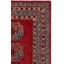 Tapis oriental rouge en laine / coton / latex touffeté à la main Wahcheechee-44650112