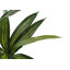 Plante en faux ciment 51,25 po Mcginnis