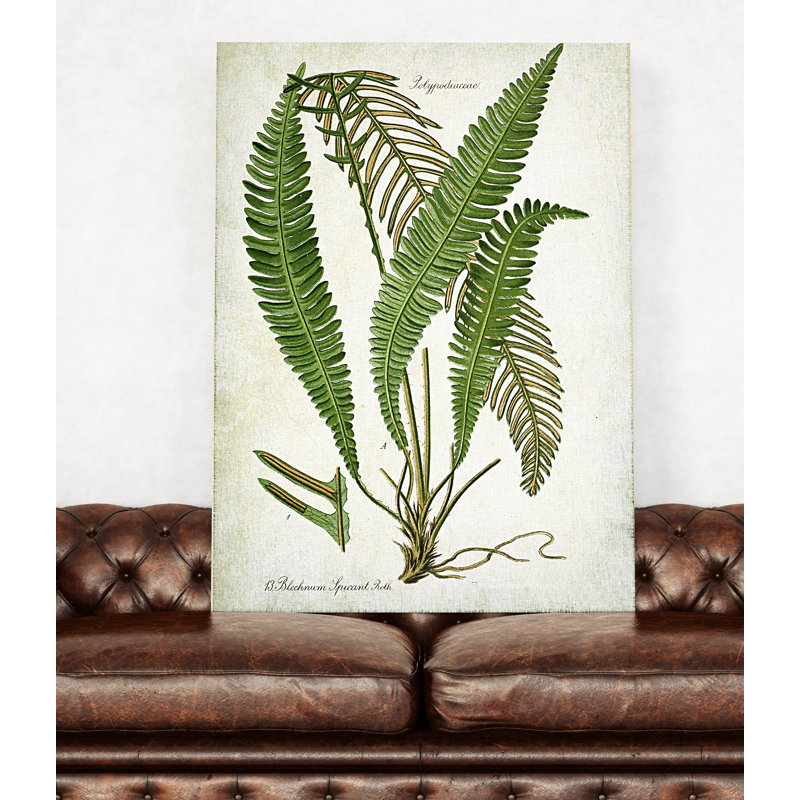 «Botanical Plate XXI», impression sur toile tendue, H 32 po x l 48 po x P 1,5 po
