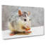 Rat - Wrapped Canvas-61837454