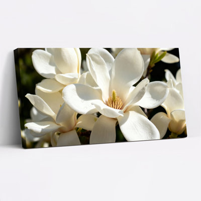 White Magnolia Flower Canvas Wrapped Wall Art Oil Painting Print Set Of 1