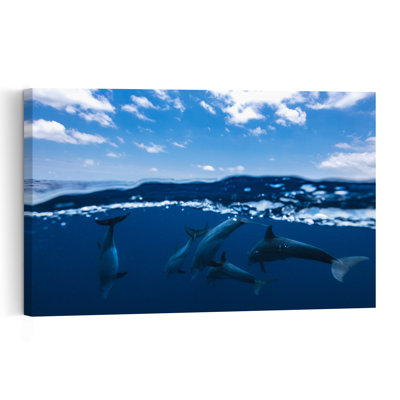 Dolphins Above Below Abstract Contemporary Dolphin Landscape Nature Wall Art Print 1 Piece Wrapped Canvas Wall Art