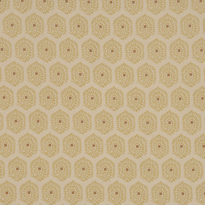 Allure Fabric