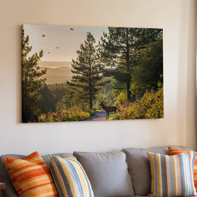 Reproduction d'art sur toile, "Une scène sereine dans la forêt à l'heure d'or" avec un majestueux art mural, cerf avec bois debout sur un chemin sinueux