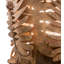 Fern 20" Table Lamp