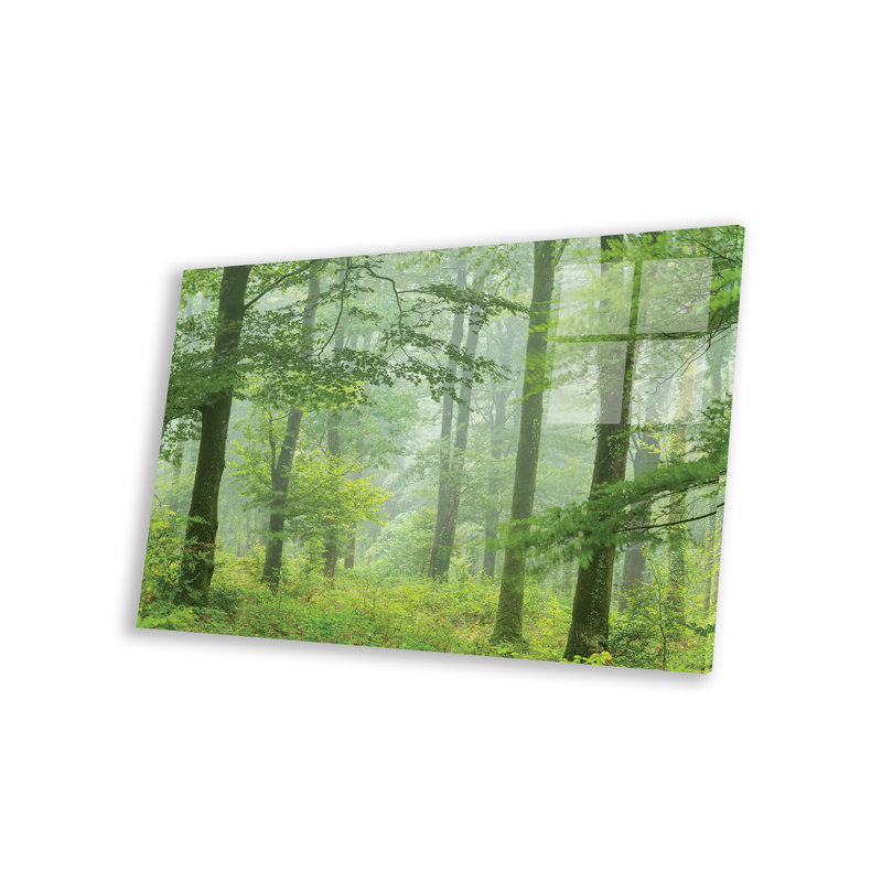 «Misty Summer Forest» par Adam Burton
