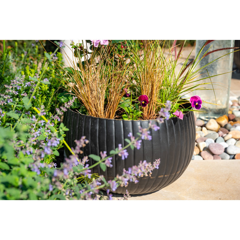 Rydell Metal Pot Planter, 26cm H x 29.5cm W x 29.5cm D