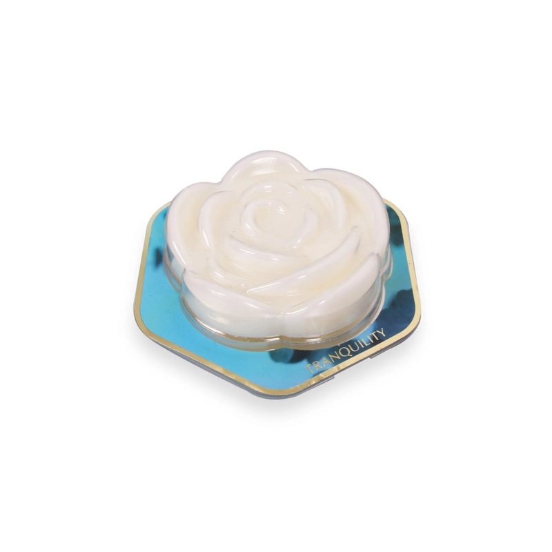Spring / Summer 2025 Fresh Scented Wax Melt