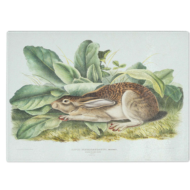 Tempered Glass Tailed Hare Chopping Board, 39 cm W x 28.5 cm L