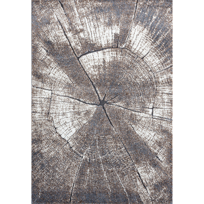 Shifflett Abstract Indoor Rug, Rectangle 2'1" x 3'3"