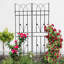 Treillis polyvalent en métal pour les plantes d'extérieur, rehaussant la beauté du jardin-779805479
