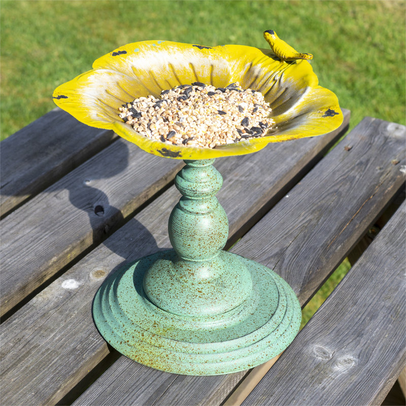 Gini Freestanding  Bird Bath