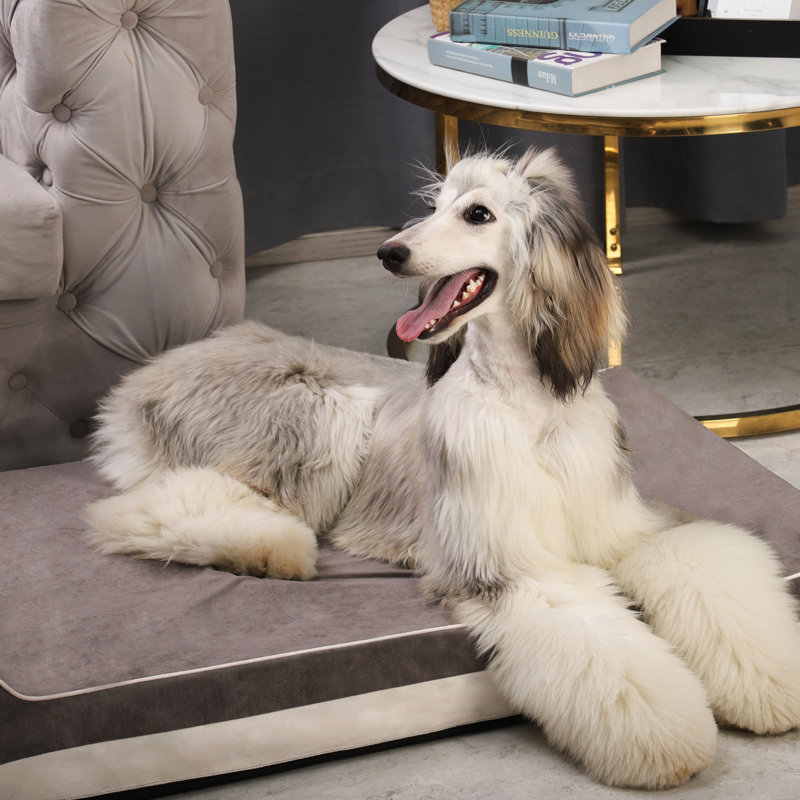 Traversin géant pour chien, Gris, L 46 po x P 28 po x H 8 po