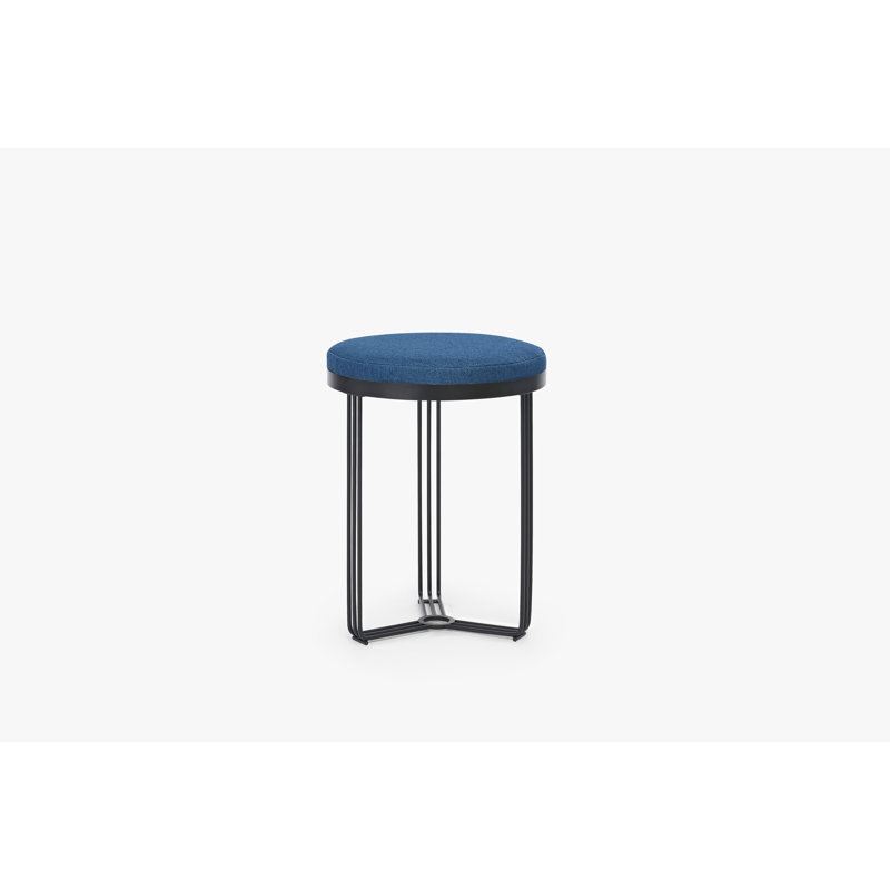 Ariss Stainless Steel Accent Stool, Black, Blue
