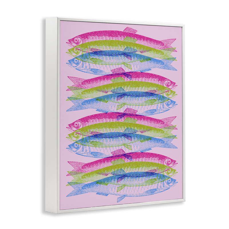 «Rainbow Layered Fish», estampe numérique par Daphne Polselli, Estampe numérique encadrée blanc bord de mer