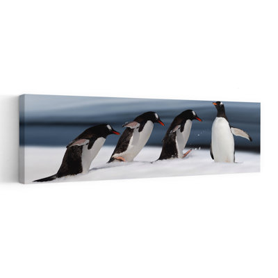 Gentoo pingouin action ludique, contemporain, oiseau, pingouin, paysage, nature, art mural