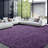 Shahen Rectangle Shag Area Rug-738442617-778986046