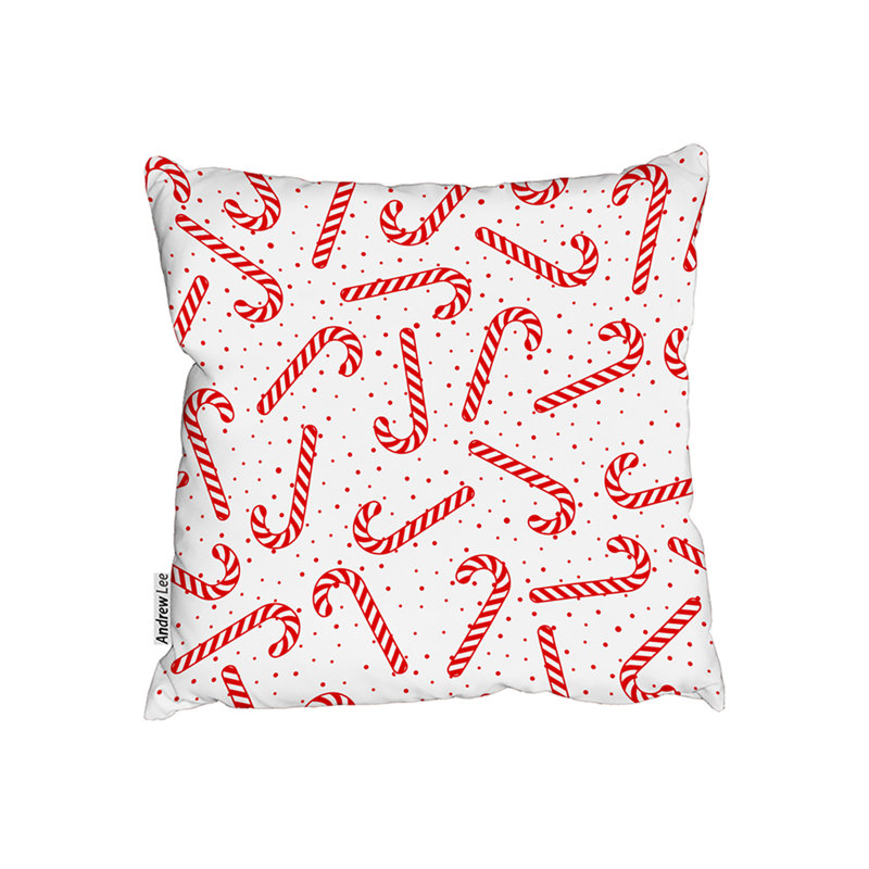 Square Cushion, 45 x 45cm