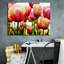 "Tulipes" par PhotoINC Studio-1547412589