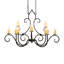 Clifton 10 - Light Chandelier-1526902023
