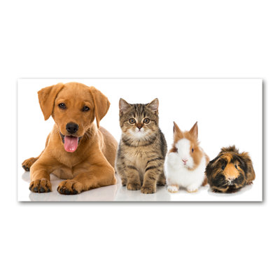 Dog and Cat 1 Piece Wrapped Canvas Wall Art