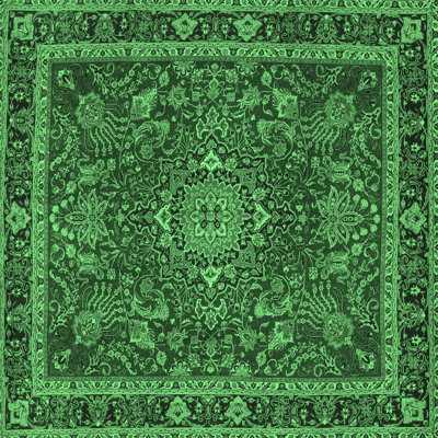 Washable Oriental Indoor Rug