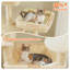 Arbre à chat robuste pour grands chats, tour de chat haute de 81 pouces avec 2 perchoirs, 2 condos et hamac spacieux, très grand XL avec 7 poteaux à griffer pour chats adultes de 20 lb et plus-511798827