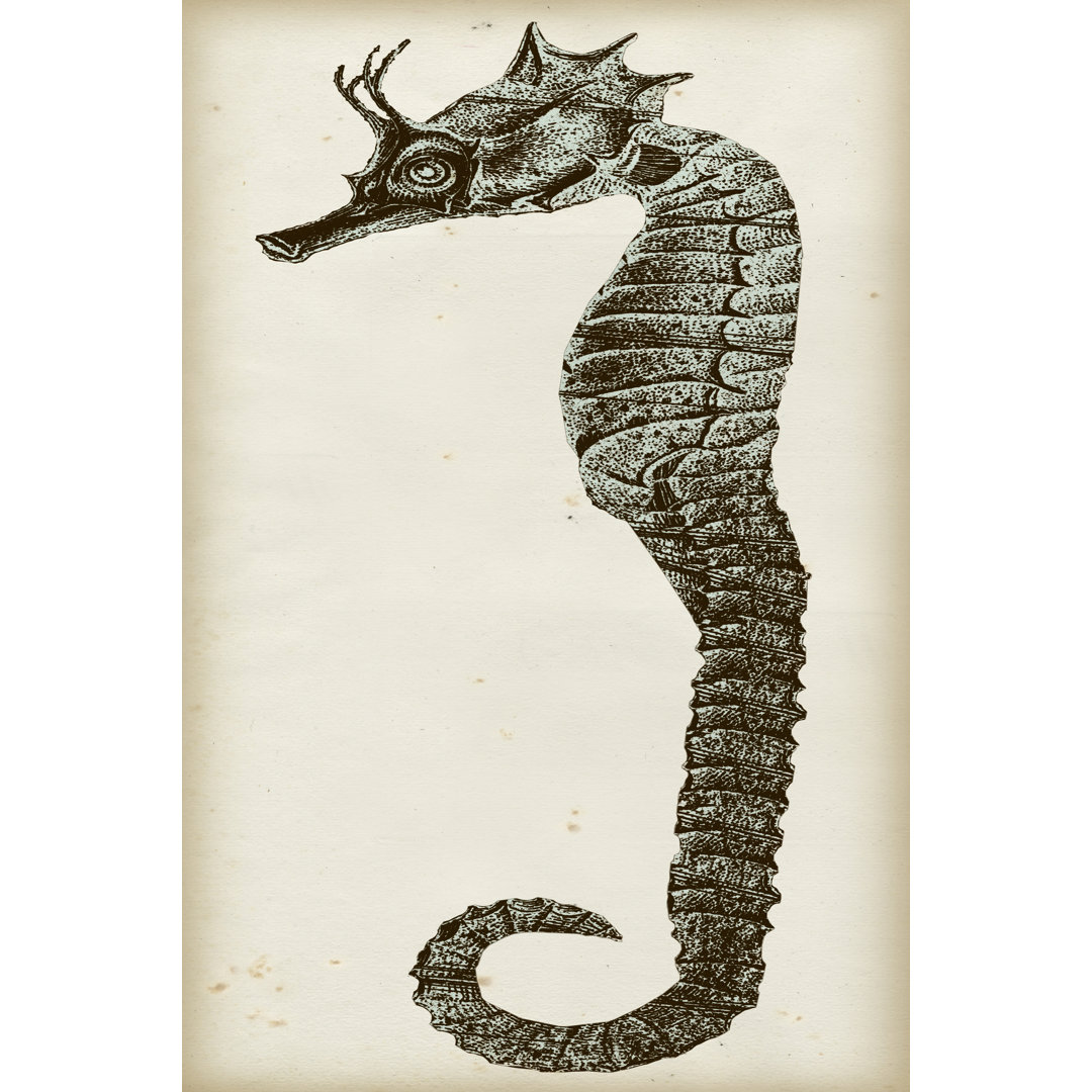 Leinwandbild Vintage Seahorse I