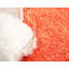 Tapis orange breton-1692057630