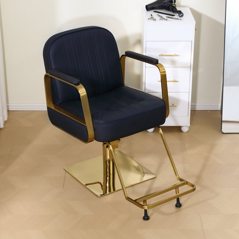Fauteuil de coiffeur pour salon de beauté, Noir, noir, noir, noir