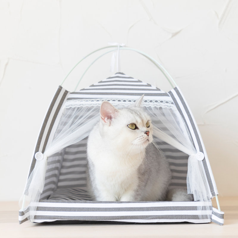 Benni Canvas Tent Pet Bed